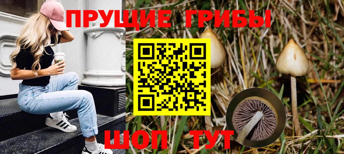 Гашиш  Вход с VPN  Моздок  АМФЕТАМИН   Меф МЯУ МЯУ   МАРИХУАНА 
