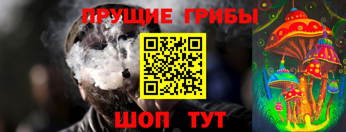 Моздок  Псилоцибиновые грибы ЛСД  Вход с VPN 